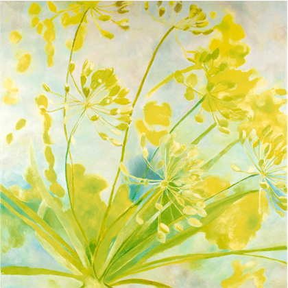 Dill
